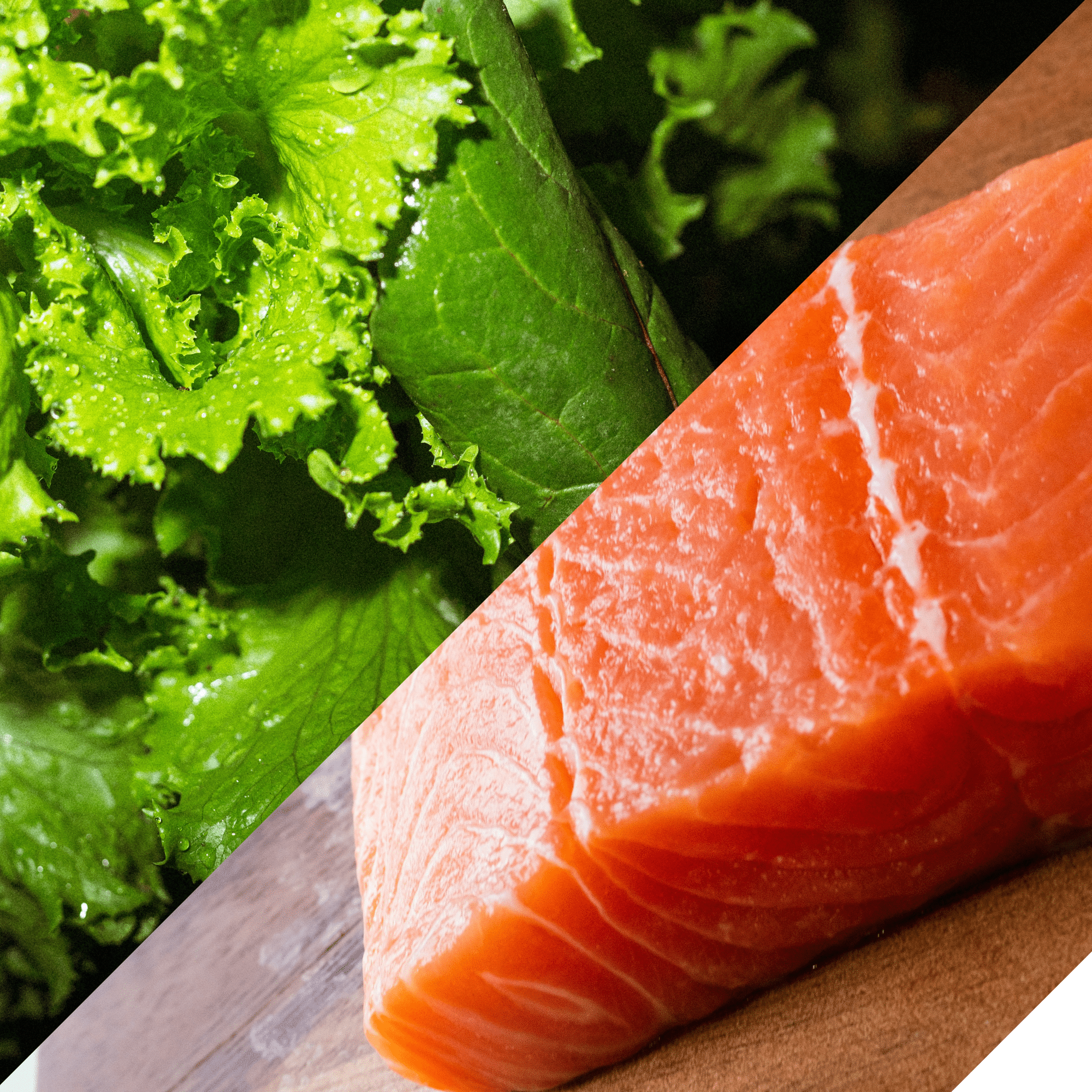 国産野菜と新鮮魚介